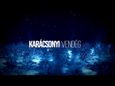 Karácsonyi vendég