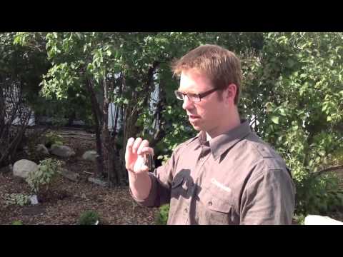 How To Use Coghlan's Signal Mirrors