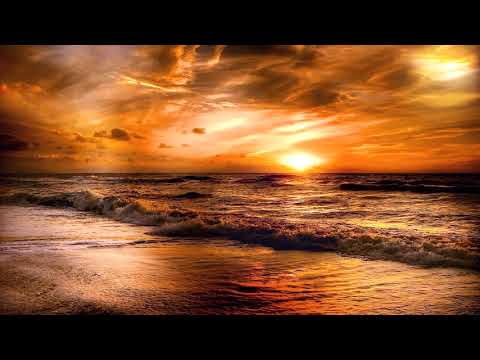 Not Used To This  -  Alder feat. Ella Faye