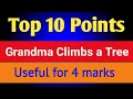 Top 10 Points Grandma Climbs A Tree Grandma Climbs A Tree Summary Grandma Climbs A Tree
