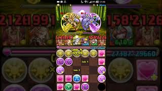 パズドラ超初心者がランク200になる！！
