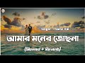 Amar Moner Jochona Slowed Reverb Samz Vai আমার মনের জোছনা