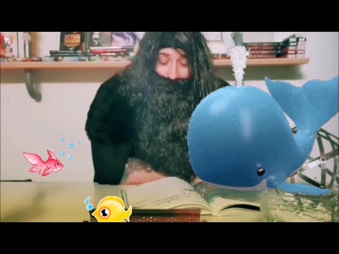 LA BALENA E IL GABBIANO