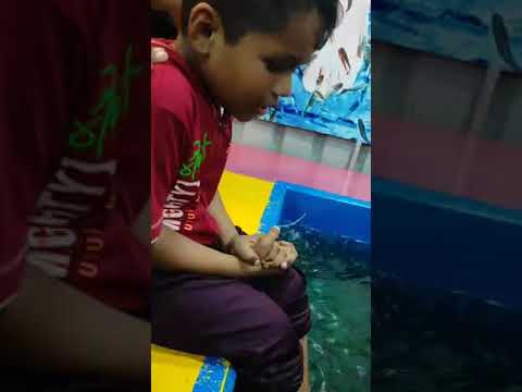 Haneef Pondy Beach fun