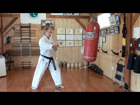 Seidokan Saturday 66b, bonus video, mae geri (front kick) basic bag drill.
