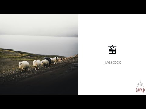 Livestock (畜) | S5E72 | OWAD Learning Mandarin Chinese