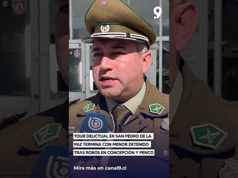 Tour delictual en San Pedro de la Paz termina con menor detenido tras robos en Concepción y Penco