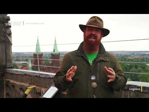 Odkryj Dolny Śląsk – Zagłębie Miedziowe: Legnica, Lubin, Głogów