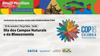 Espaço Brasil COP 16 — 29/10 — Tarde: Campos Naturais e Bioeconomia