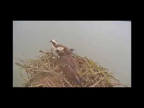 The first egg of the season