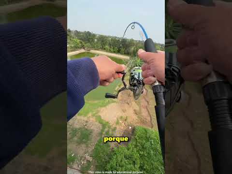 The Most Dangerous Fishing Rod in the World 🎣