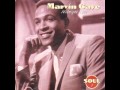 Marvin Gaye - My Love Is Waiting