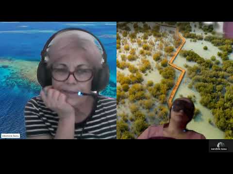 HIPNOZA REGRESIVA.RO-2163.Gheorghii,nerabdare,superficialitate,bucla mentala. E LASCU coord si ELA