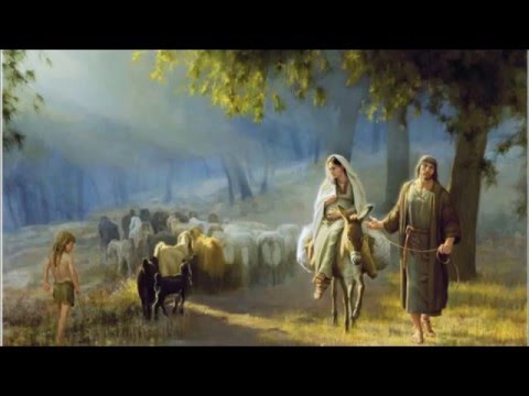 Vio Diacu - Au umblat din sat in sat (Cintare Originala)