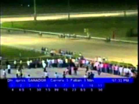 Resumen Jueves, 13 de Octubre de 2011 - Valencia