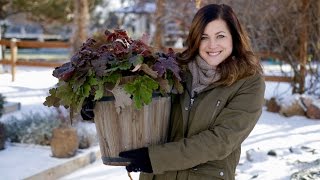 Wintering Plants in Containers