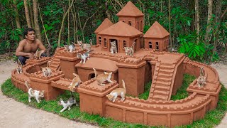 Rescue Kitten Cat Build Great Castle Cat House Fro