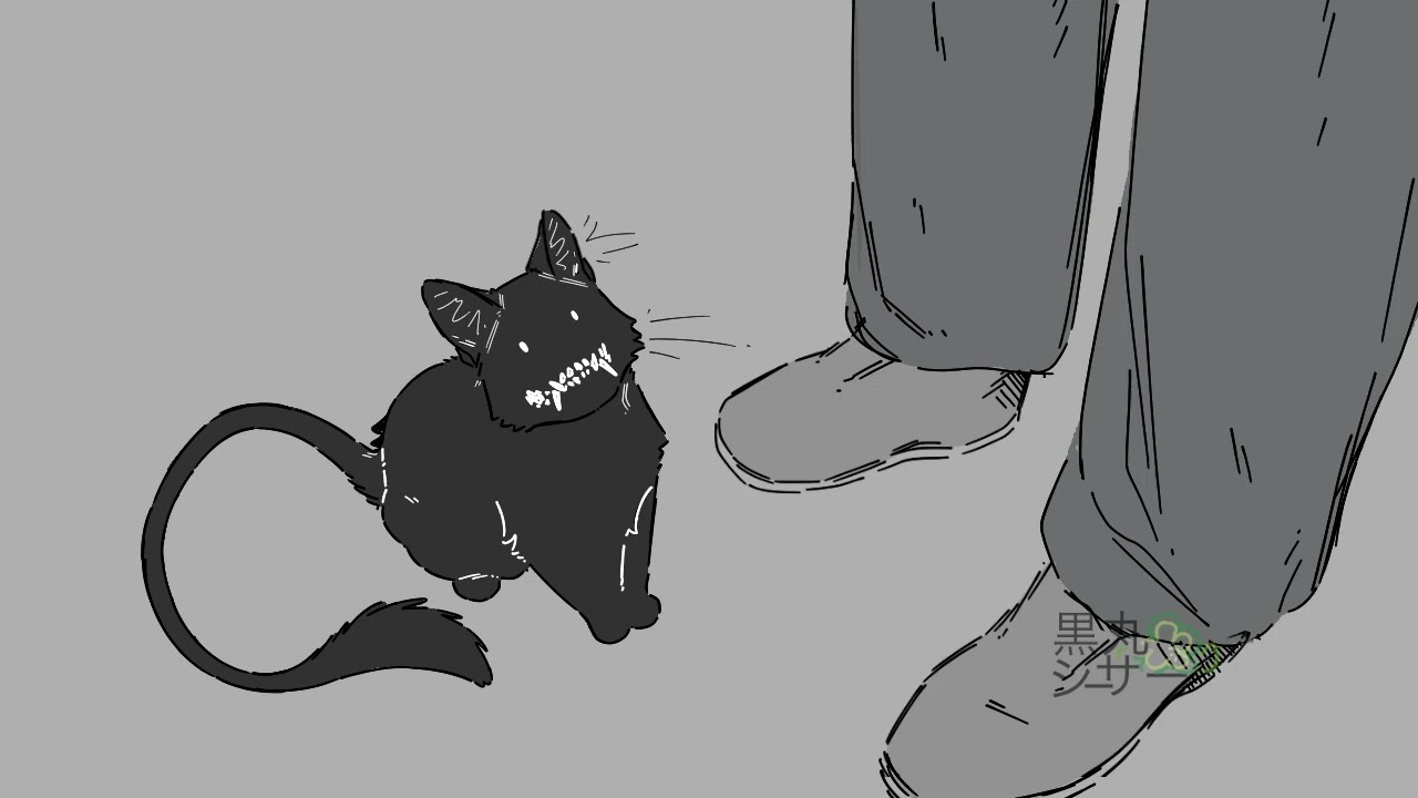 Pet the kitty🐈‍⬛✨