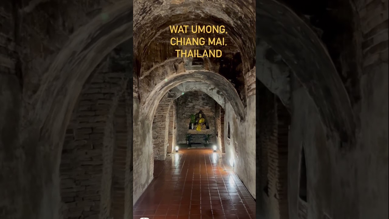 YouTube Short thumbnail