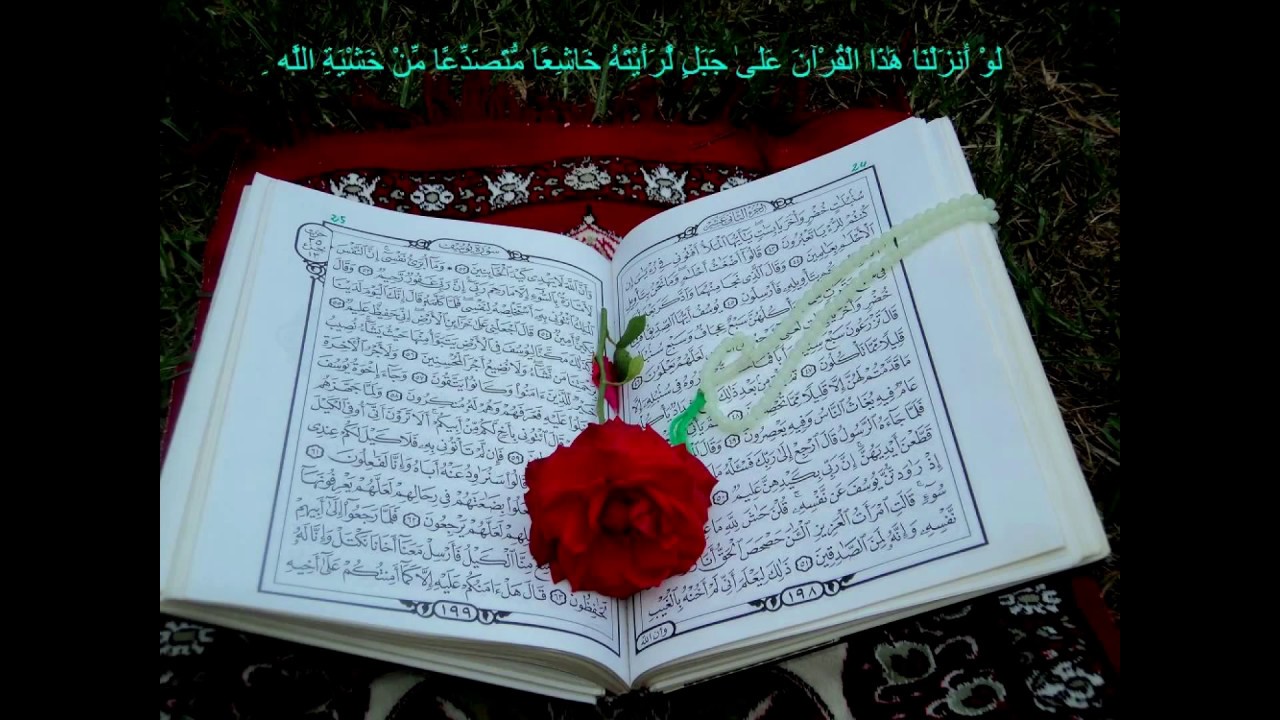 سورة نبأ للقارئ عبد المؤمن لطفي Suart Nabaa
