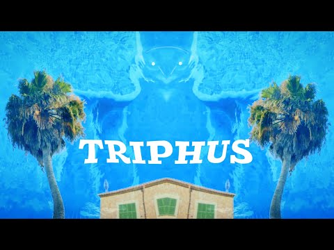 ZaPaTaZz - TripHus (Official Video)