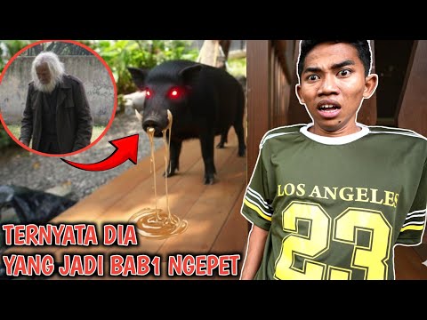ANEH! ADA ORANG MISTERIUS YANG BERUBAH JADI B4B1 NGEP3T??ARIK P4NIK😱 | Mikael TubeHD