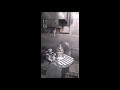 Video abspielen