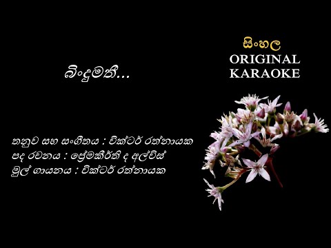 Bindumathi - බිංදුමතී - KARAOKE - Victor Rathnayake/Premakeerthi de Alwis/Victor Rathnayaka