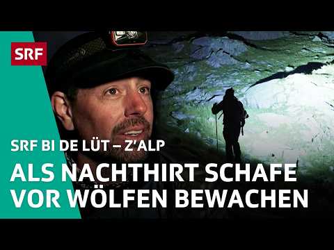 Amerikaner Joshua: Nachtwächter über 700 Schafe im Sommer | Z'Alp – SRF bi de Lüt | 2024 – 2/4 | SRF