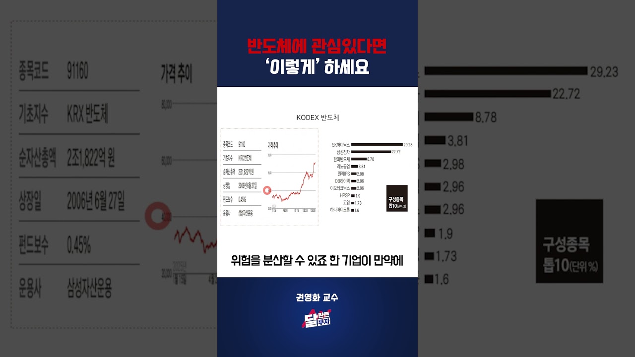 반도체에 관심있다면 '이렇게' 하세요 #권영화