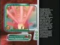 WNYW Fox Kids Split Screen Credits May 12 2001