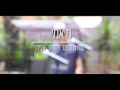עמית עמוס ויהונתן אבידני (עמית ויהונתן) - מיאמי (קאבר)