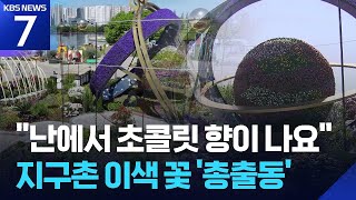 “난에서 초콜릿 향이”…고양국제꽃박람회, 이색 꽃 총출동 / KBS  2026.04.24.
