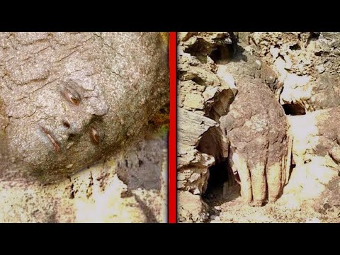 考古学的発見は凄惨な流血を示す