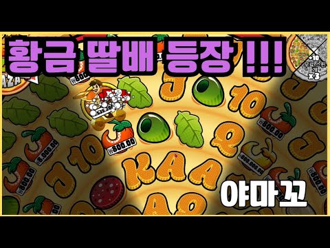 [슬롯][제보영상][닉네임:야마꼬]피자 2726배