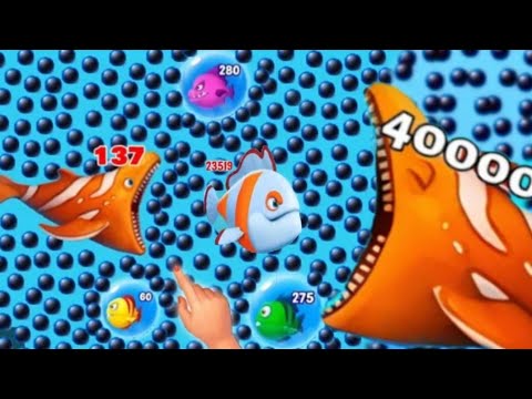 Fishdom🐠 Ads Mini Games New 1.35 Update video  Hungry Fishs🐟 Gameplay 2025 Splashy Ads Gaming