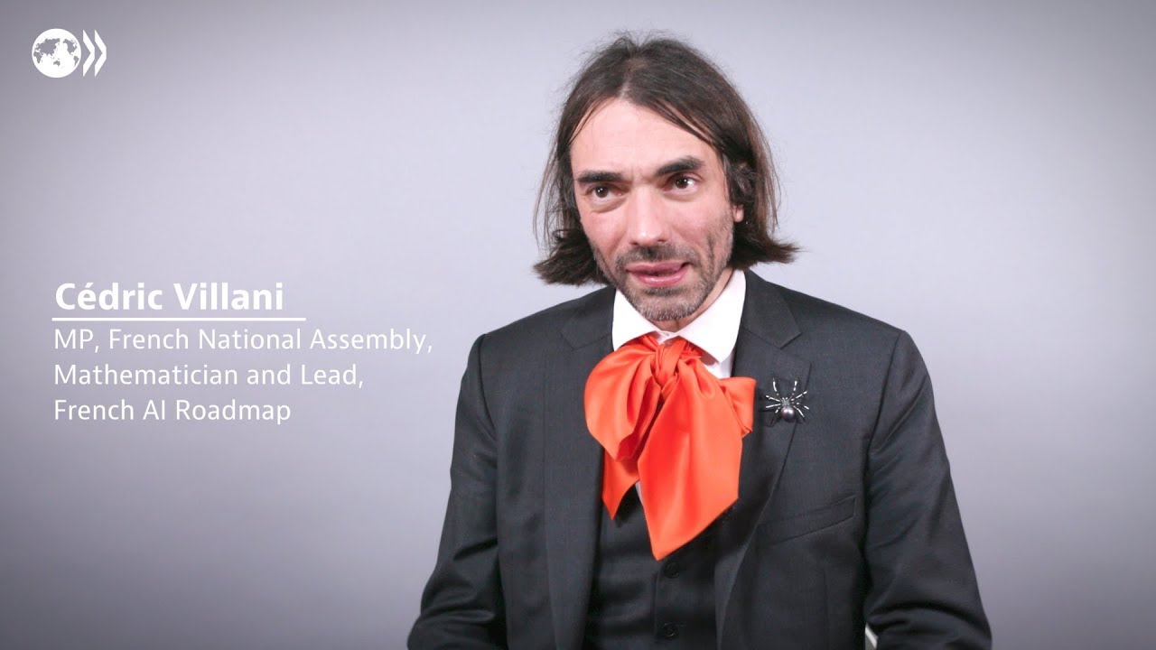 AI: The human-machine relationship with Cedric Villani