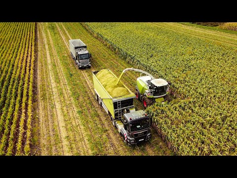 Großeinsatz Maisernte 2020 - Agrolohn Südbaden