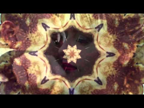 Sarah Jaffe : Leaving the Planet