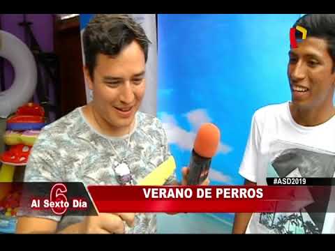 Verano de perros: estos son los mejores lugares para divertir a su engreído