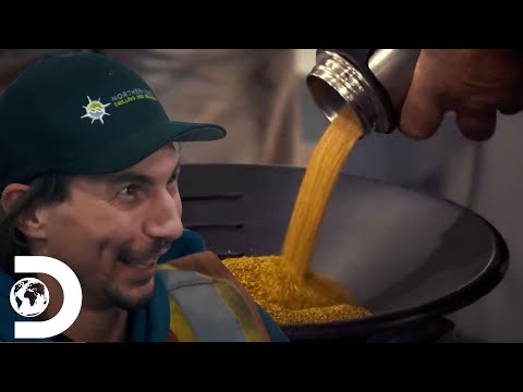 ¡Ganancias que valen su peso en oro! | Fiebre del oro | Discovery Latinoamérica