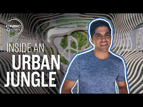 新加坡最前沿的城市叢林｜CNBC報道 (Inside Singapore's cutting-edge urban jungle | CNBC Reports)