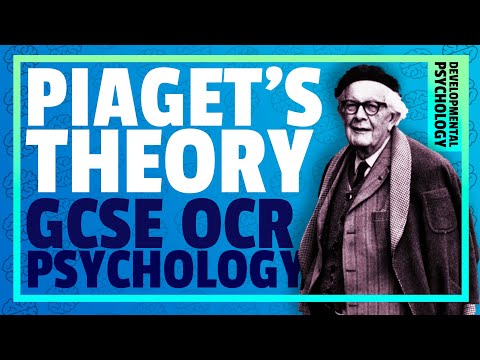 PIAGET'S THEORY OF COGNITIVE DEVELOPMENT | Developmental Psychology (OCR GCSE)
