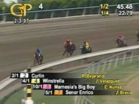 Curlin - 2007 Maiden Race