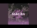 SAKURA