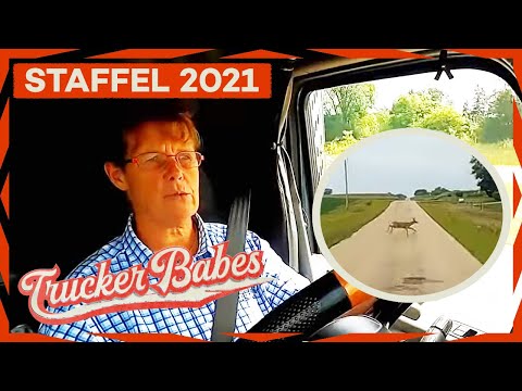 "Man muss so aufpassen" - Uschi konnte nur knapp einem Tier ausweichen | Trucker Babes | Kabel Eins