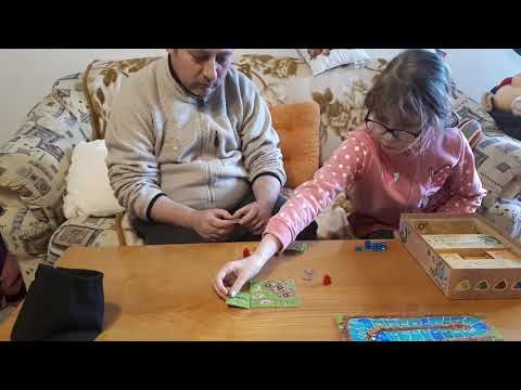 Carcassonne Aranyláz bemutató - Társasozik a család