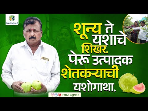 शून्य ते यशाचे शिखर. पेरू उत्पादक शेतकऱ्याची यशोगाथा.