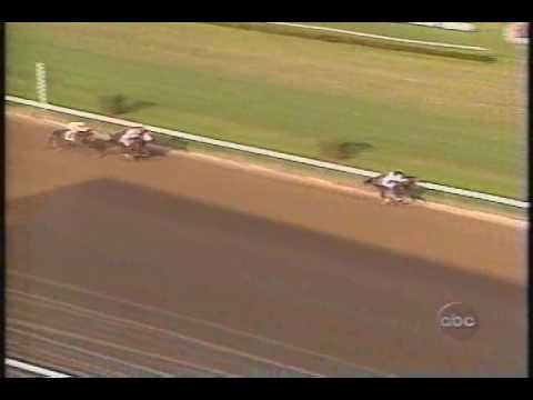Holy Bull Florida Derby 1994