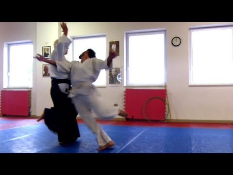 Aikido - Roberto Martucci - Pescantina (Verona) 2022